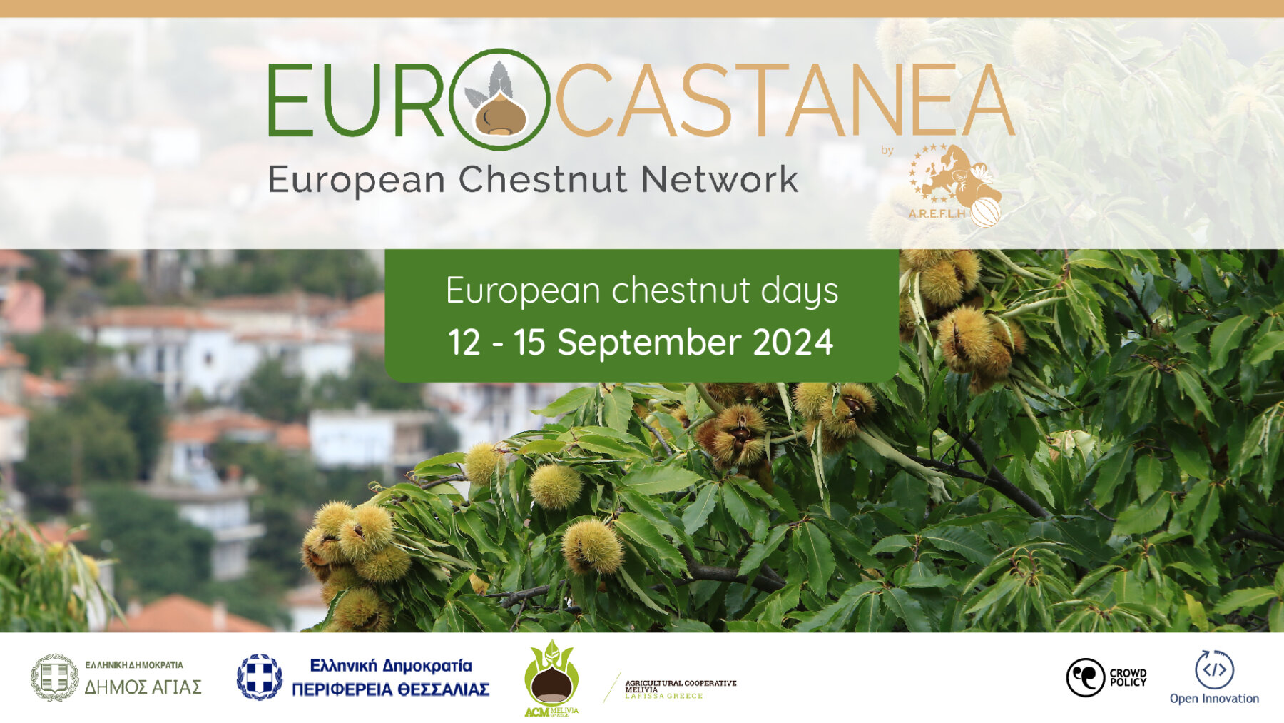 eurocastanea Photo